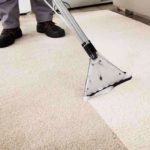 Can a Cheap Carpet Cleaner Get the Job Done?